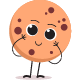 EBS Paca